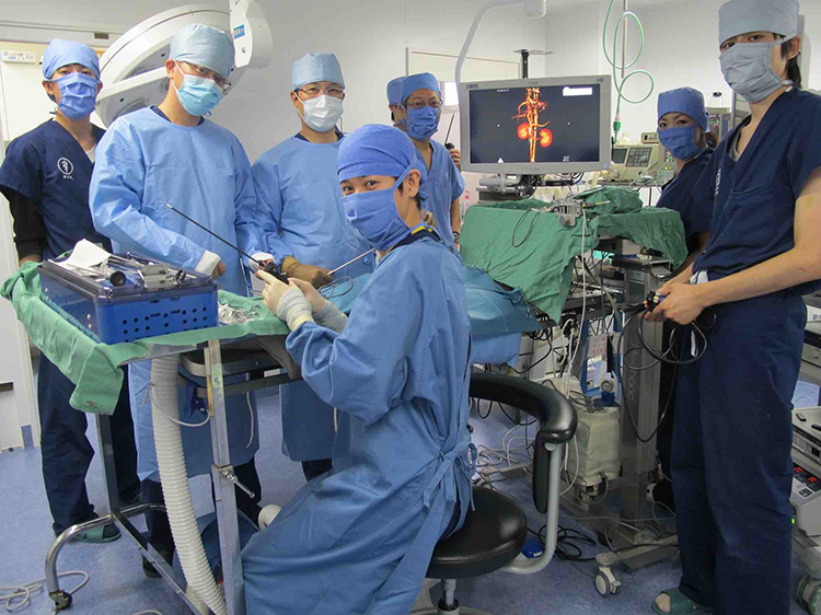 内視鏡外科手術 | 東京都北区の動物病院、王子ペットクリニック