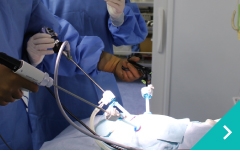 犬猫の肝胆膵疾患