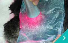 光線温熱化学療法