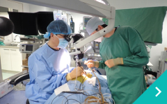 ベントラルスロット（腹側減圧術）